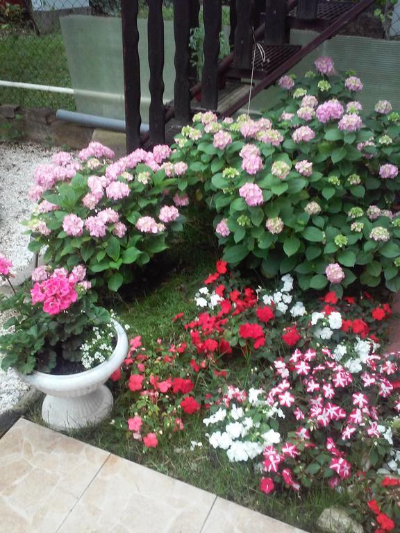 Apartment A&D Pančevo Екстериор снимка