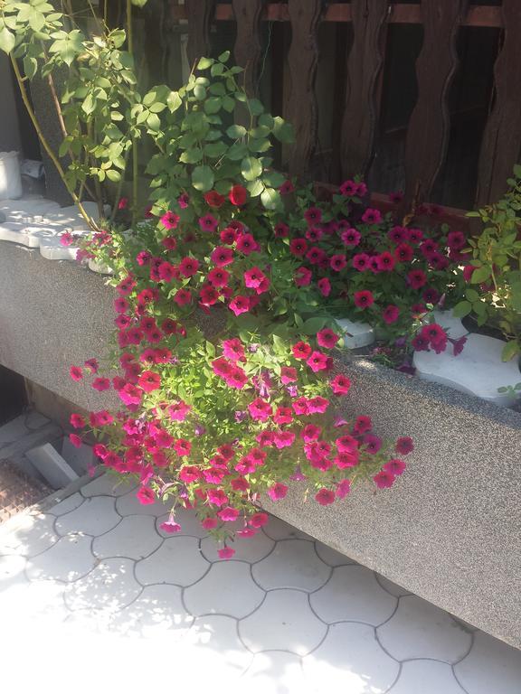 Apartment A&D Pančevo Екстериор снимка